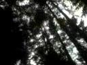 my world -- murdy park.