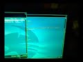 Asus monitor flickering