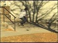 THE DENVER SHOP - IN COLOR - TYLER PRICE