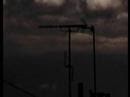 videos de Golden eggs - CYROD