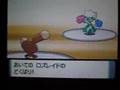Pokemon Diamond & Pearl - Segundo Gimnasio