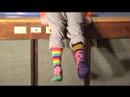 Taft is the Fox in Socks!