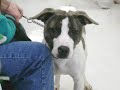 \"Josie\" Wants You to Come Visit Her...