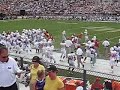 Search Video