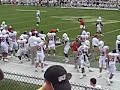 Search Video