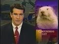 PULSE News - Howard Schwartz Anchoring PULSE News - Howard Schwartz Anchoring