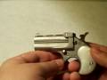 Gun Overview : Cobra 2 Shot Derringer 22LR