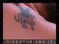 videos de Hotel Cattolica Beach
