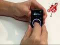 Rese�a Sandisk-Sansa clip