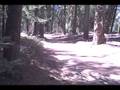 Helmet cam2