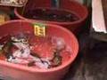Korean Market in Busan
