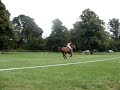 Blenheim International Horse Trials 2007