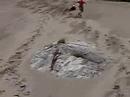 Boquillas Sand Run Boquillas Sand Run