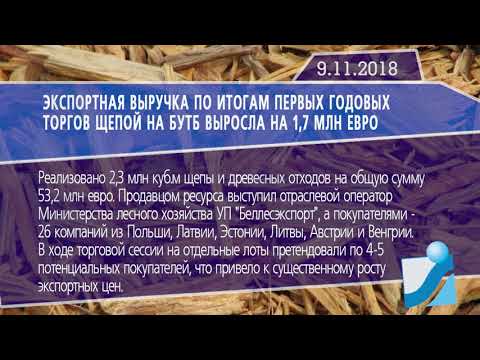 Новостная лента Телеканала Интекс 09.11.18.