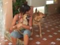 Chispa y Trapo, una historia de amor - A love story Chispa y Trapo, una historia de amor - A love story