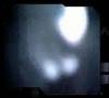GOBSCHEIT-GOBSHITE-1