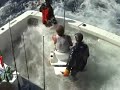 marlin fishing