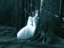 Nightwish While your lips are still red with lyrics