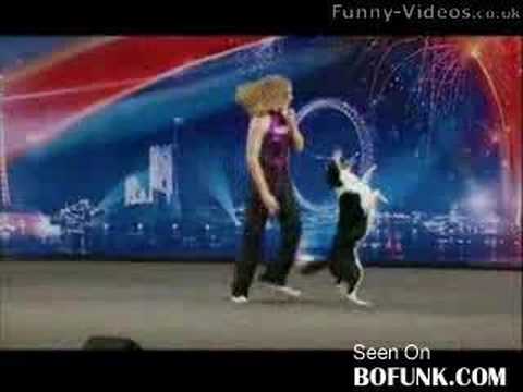 Smart Dogs - This border collie can do anything! Even Simon Cowell has his mouth open the whole performance! Totally unique! Don't miss this one!