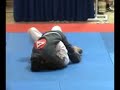 The North American Brazilian Jiu Jitsu Tournament \"Playboy\" The North American Brazilian Jiu Jitsu Tournament \"Playboy\"