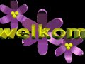*Marokkaanse decoratie*