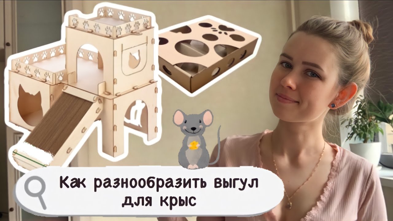 Выгул для крыс или как организовать выгул для крыс. Делаем домик из коробки для крыс