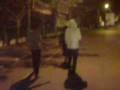 videos de kebun binatang 4.3gp