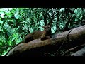 Madagascar\