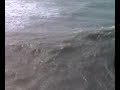 Cyclone Helen, Day after Nightcliff Cyclone Helen, Day after Nightcliff