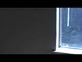 8055 Pegler way(inside view)