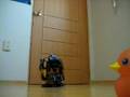 Toddle Of Third Of Max9 Robot