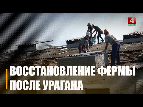 Горлов посетил Речицкий район для контроля ликвидации последствий урагана видео