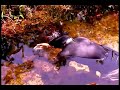 Snorkeling the Morichal Largo River Ivan Dalmar Mikolji