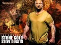 wwe stone cold steve austin theme song wwe stone cold steve austin theme song