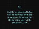 Romans 8 Romans 8
