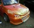 renault sports