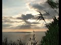 Peaceful and Beautiful