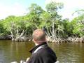 videos de Airboat Ride in the Everglades #1
