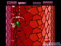 nes battle toads: store.videogamecentral.com rash, pimple & zits save the galaxy! watch how much fun it is to play as 3 toads named after skin conditions for your original nintendo!