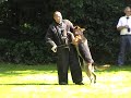knpv wedstrijd duitse herders didam 2008