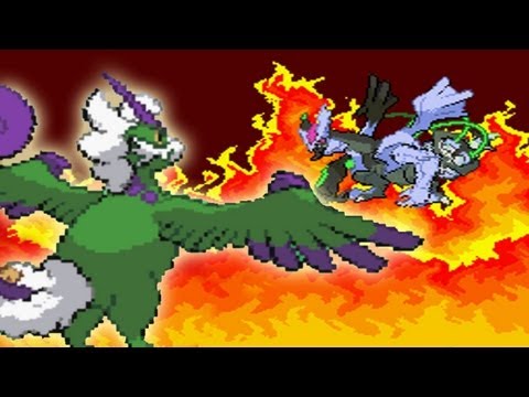 pokemon black pokemon black