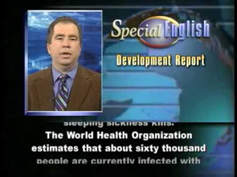 how to treat tsetse fly bites