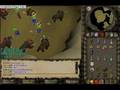 Dark Beasts Dark Bow Drop