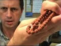 Vintage Buddhist Prayer Beads - Buddhism Japanese Mala Vintage Buddhist Prayer Beads - Buddhism Japanese Mala