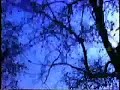 James Iha \"Let it Come Down\" Promo Pt. 5