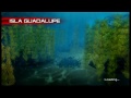 jaws ultimate predator gameplay contranetworkhd.blogspot.com
