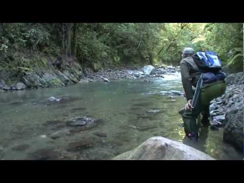 nymph - takethebait.co.nz is a New Zealand based trout fishing TV series. Watch renowned fishing guide Graeme Ryder nymph fishing on remote streams North Island New ...