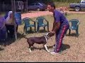 el juego y al jerarquia