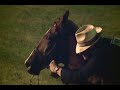 Tennessee Walking Horse Show