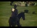 Tennessee Walking Horse Show